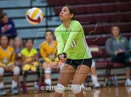 Thumbnail 2 in Highlands vs Crystal City (Arabian Round-up) photogallery.