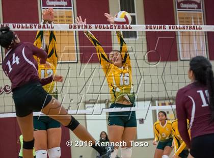 Thumbnail 3 in Highlands vs Crystal City (Arabian Round-up) photogallery.