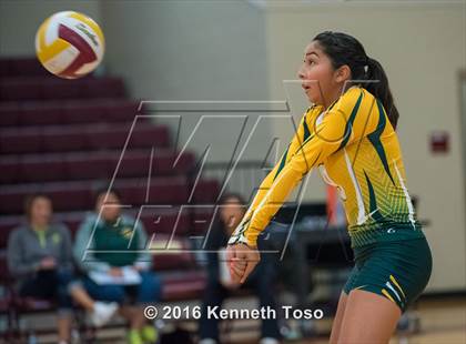 Thumbnail 1 in Highlands vs Crystal City (Arabian Round-up) photogallery.