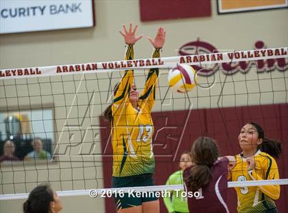 Thumbnail 3 in Highlands vs Crystal City (Arabian Round-up) photogallery.