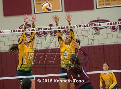 Thumbnail 2 in Highlands vs Crystal City (Arabian Round-up) photogallery.