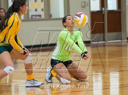 Thumbnail 3 in Highlands vs Crystal City (Arabian Round-up) photogallery.