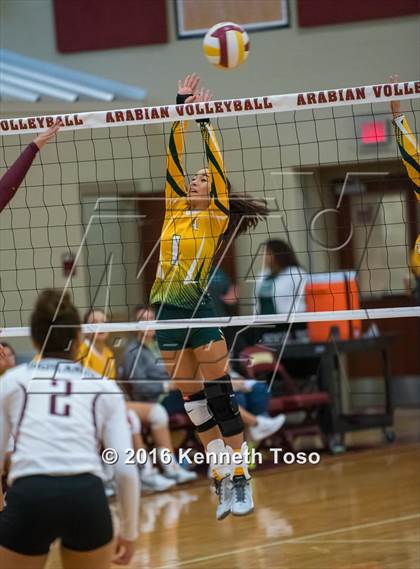 Thumbnail 3 in Highlands vs Crystal City (Arabian Round-up) photogallery.