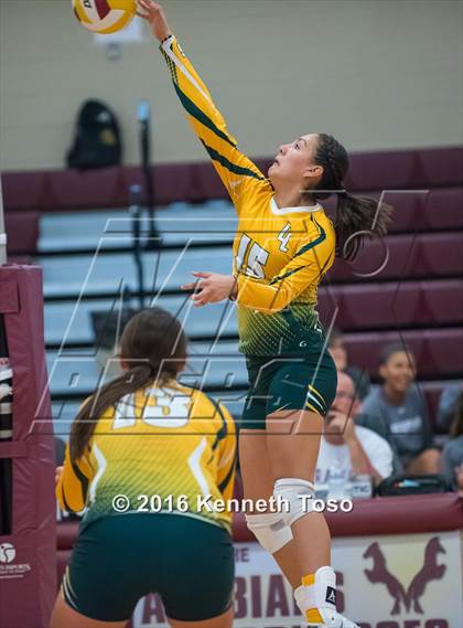 Thumbnail 2 in Highlands vs Crystal City (Arabian Round-up) photogallery.