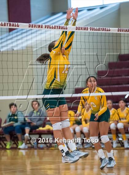 Thumbnail 3 in Highlands vs Crystal City (Arabian Round-up) photogallery.