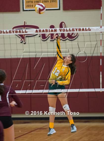 Thumbnail 1 in Highlands vs Crystal City (Arabian Round-up) photogallery.