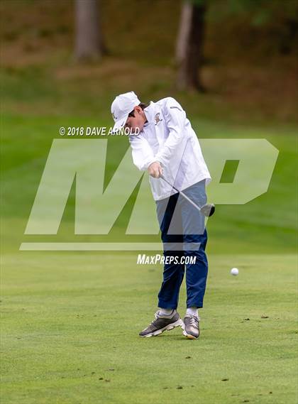 Thumbnail 1 in Newton North @ Needham photogallery.
