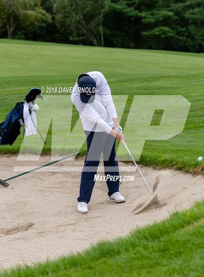 Thumbnail 3 in Newton North @ Needham photogallery.