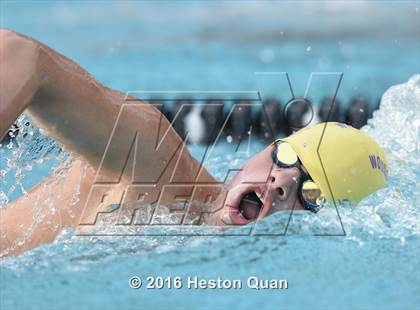 Thumbnail 3 in CIF Southern Section D4 Boys Swimming Championships photogallery.