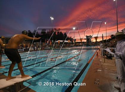 Thumbnail 1 in CIF Southern Section D4 Boys Swimming Championships photogallery.