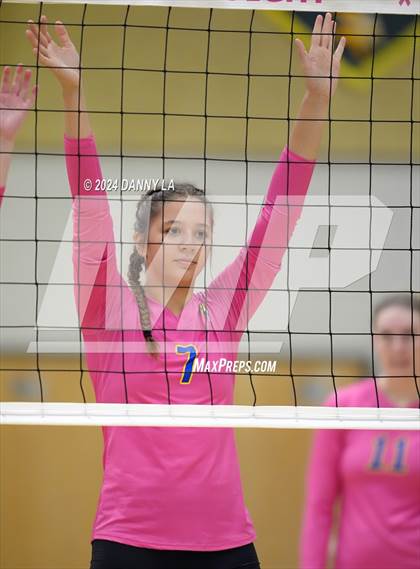 Thumbnail 3 in Robinson @ Oakton photogallery.