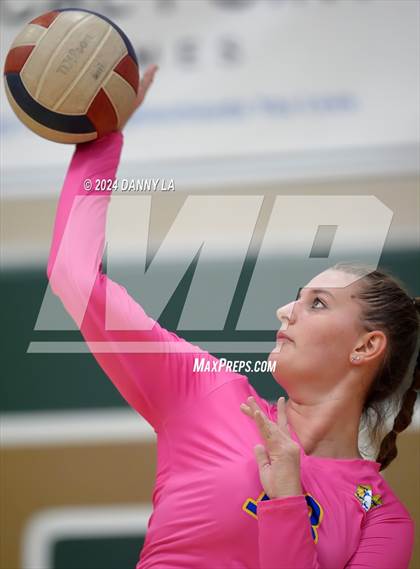 Thumbnail 1 in Robinson @ Oakton photogallery.