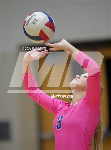Thumbnail 3 in Robinson @ Oakton photogallery.