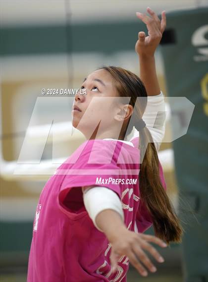 Thumbnail 3 in Robinson @ Oakton photogallery.