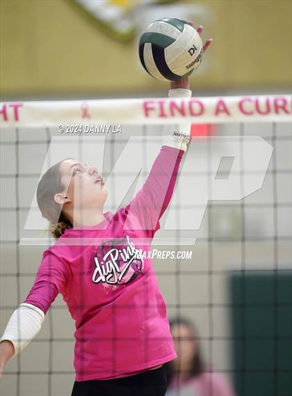 Thumbnail 2 in Robinson @ Oakton photogallery.
