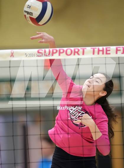 Thumbnail 2 in Robinson @ Oakton photogallery.