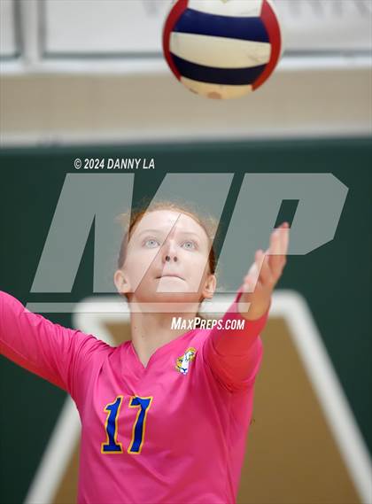 Thumbnail 2 in Robinson @ Oakton photogallery.