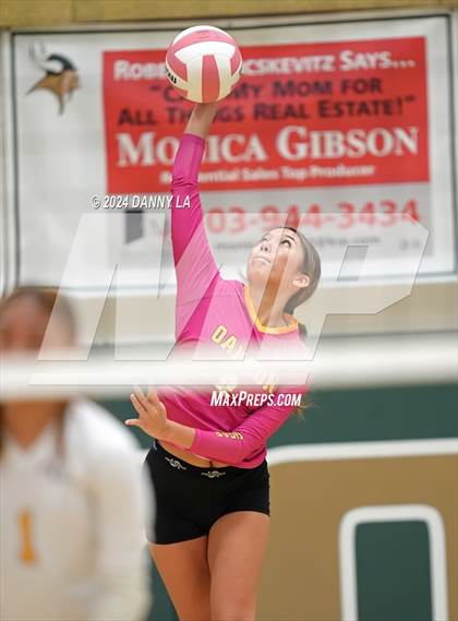 Thumbnail 2 in Robinson @ Oakton photogallery.