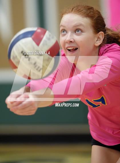 Thumbnail 1 in Robinson @ Oakton photogallery.