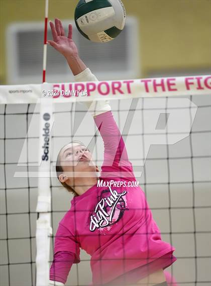 Thumbnail 2 in Robinson @ Oakton photogallery.