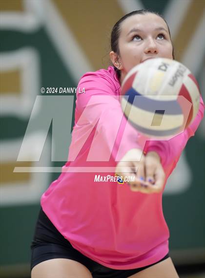 Thumbnail 1 in Robinson @ Oakton photogallery.