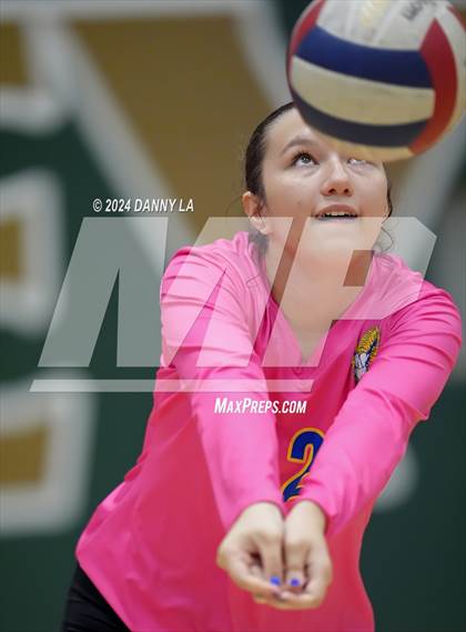 Thumbnail 3 in Robinson @ Oakton photogallery.