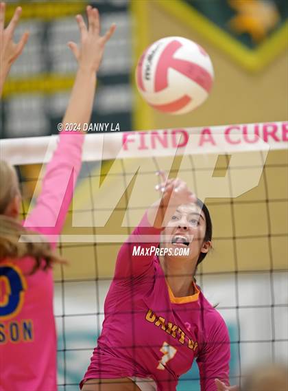 Thumbnail 2 in Robinson @ Oakton photogallery.