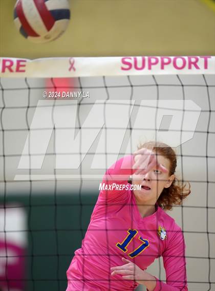 Thumbnail 2 in Robinson @ Oakton photogallery.
