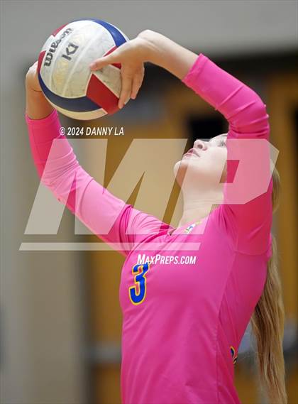 Thumbnail 1 in Robinson @ Oakton photogallery.