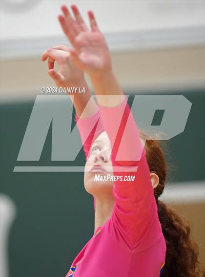 Thumbnail 2 in Robinson @ Oakton photogallery.