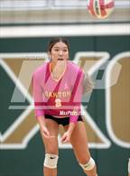 Photo from the gallery "Robinson @ Oakton"