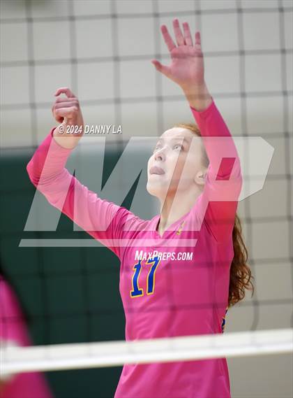 Thumbnail 3 in Robinson @ Oakton photogallery.