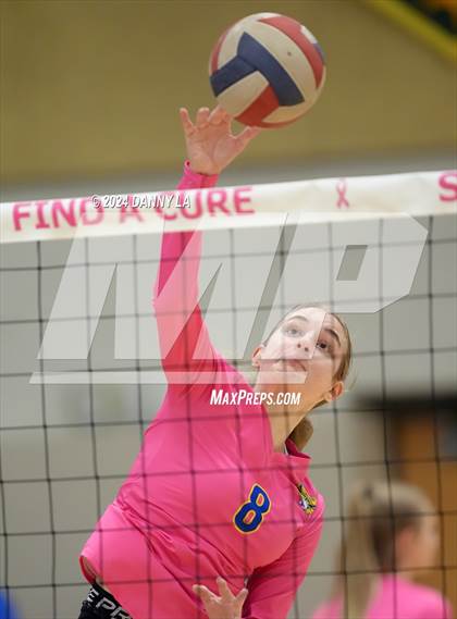 Thumbnail 3 in Robinson @ Oakton photogallery.