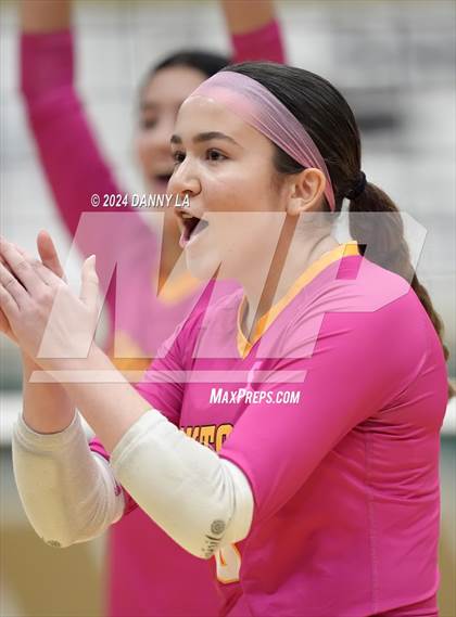 Thumbnail 2 in Robinson @ Oakton photogallery.