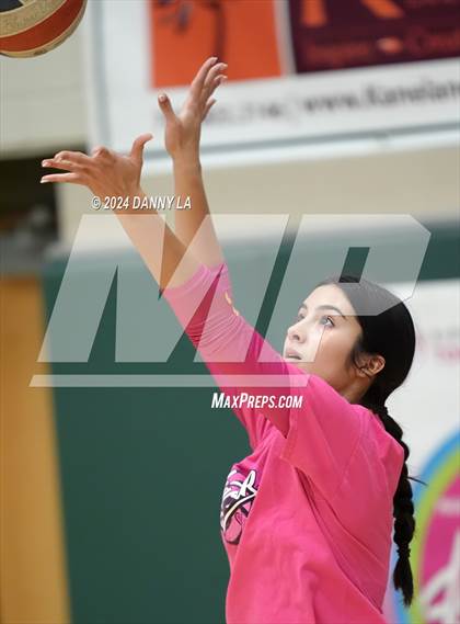 Thumbnail 1 in Robinson @ Oakton photogallery.