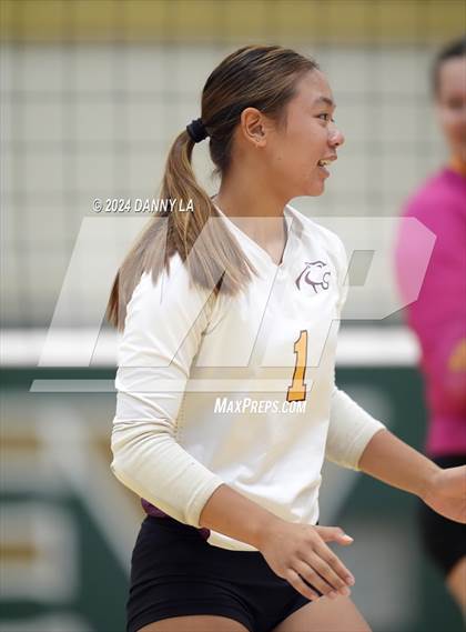 Thumbnail 3 in Robinson @ Oakton photogallery.
