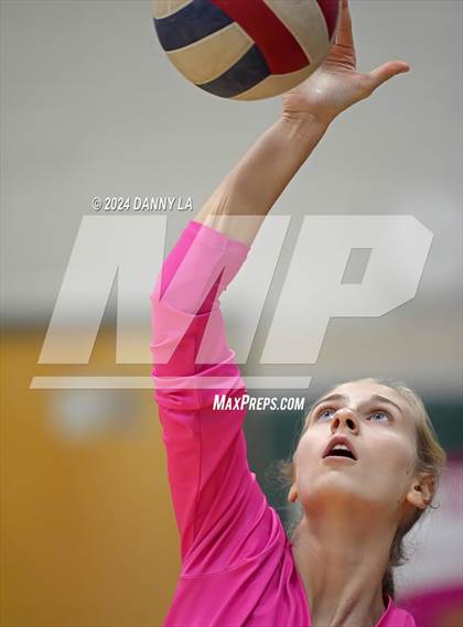 Thumbnail 3 in Robinson @ Oakton photogallery.