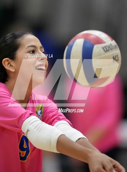 Thumbnail 2 in Robinson @ Oakton photogallery.