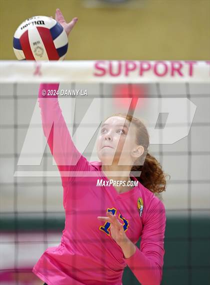 Thumbnail 3 in Robinson @ Oakton photogallery.