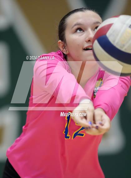 Thumbnail 3 in Robinson @ Oakton photogallery.