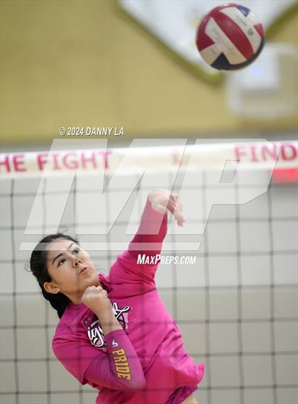 Thumbnail 1 in Robinson @ Oakton photogallery.
