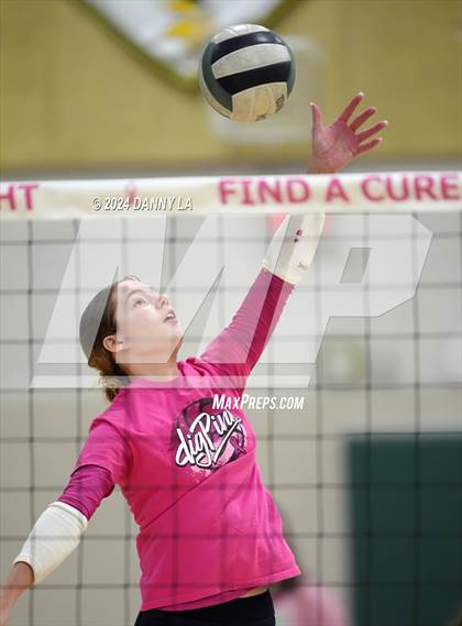 Thumbnail 3 in Robinson @ Oakton photogallery.