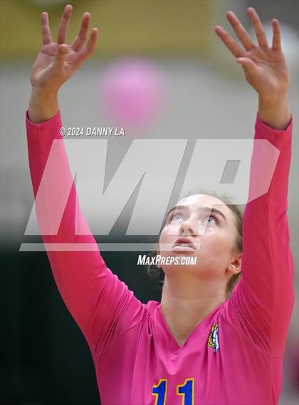 Thumbnail 3 in Robinson @ Oakton photogallery.