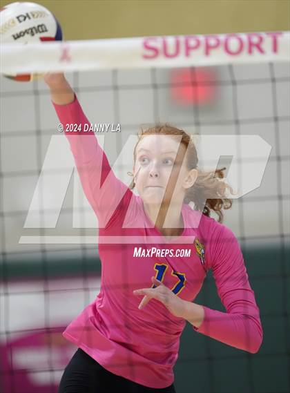 Thumbnail 1 in Robinson @ Oakton photogallery.