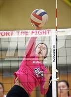 Photo from the gallery "Robinson @ Oakton"