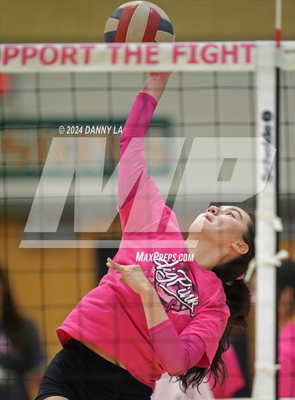 Thumbnail 3 in Robinson @ Oakton photogallery.
