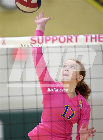 Thumbnail 1 in Robinson @ Oakton photogallery.