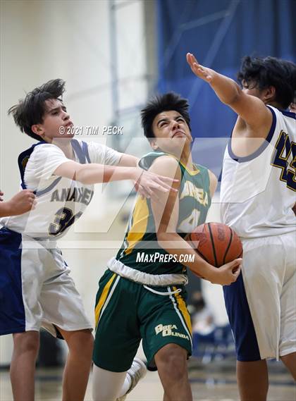 Thumbnail 2 in Brea Olinda @ Anaheim photogallery.
