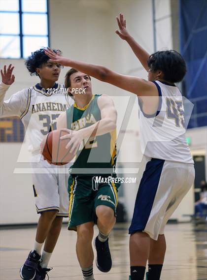 Thumbnail 1 in Brea Olinda @ Anaheim photogallery.