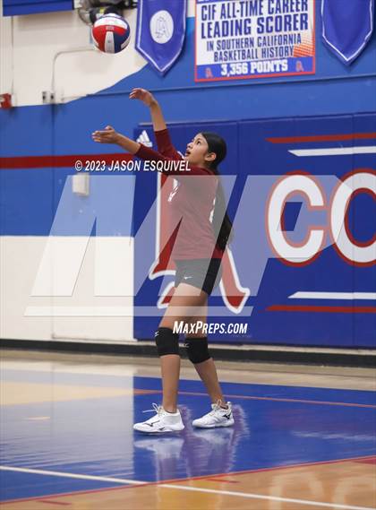 Thumbnail 2 in Wilson @ Los Altos photogallery.